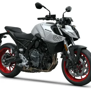 GSX-8S